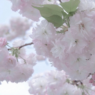 Furry插画氛围技巧Furry群